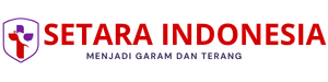 Partai Setara Indonesia